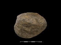 藏品(石球)的圖片