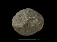 藏品(石球)的圖片