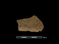 藏品(石鋸)的圖片