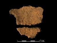 藏品(陶片(碎片))的圖片