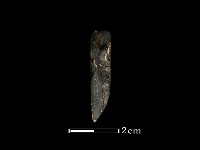 藏品(錛鑿形器)的圖片