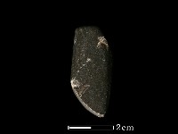 藏品(錛鑿形器)的圖片