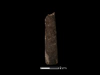 藏品(錛鑿形器)的圖片