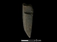 藏品(錛鑿形器)的圖片