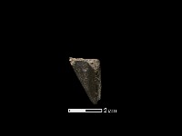 藏品(錛鑿形器)的圖片