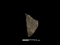 藏品(錛鑿形器)的圖片