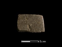 藏品(磨製石器)的圖片