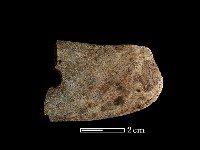 藏品(石刀)的圖片