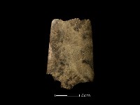 藏品(磨製石器)的圖片