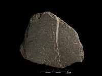 藏品(磨製石器)的圖片