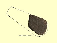 藏品(磨製石器)的圖片