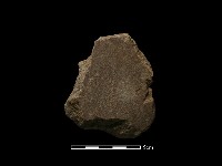 藏品(磨製石器)的圖片