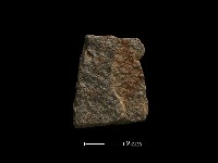 藏品(磨製石器)的圖片