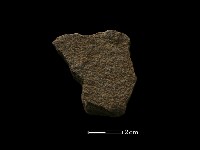 藏品(磨製石器)的圖片