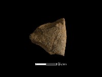 藏品(磨製石器)的圖片