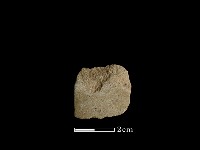 藏品(錛鑿形器)的圖片