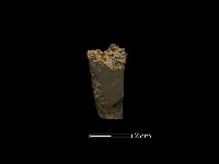 藏品(磨製石器)的圖片