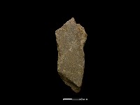 藏品(磨製石器)的圖片