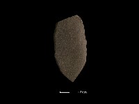 藏品(磨製石器)的圖片