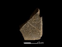 藏品(石刀)的圖片