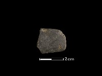 藏品(磨製石器)的圖片