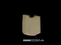 藏品(矛鏃形器)的圖片