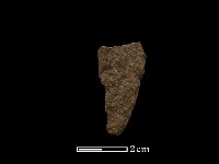 藏品(磨製石器)的圖片