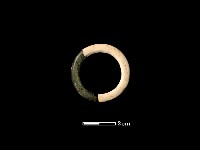 藏品(玉玦)的圖片