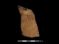 藏品(陶片)的圖片