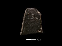 藏品(陶環)的圖片