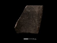 藏品(陶環)的圖片