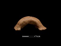 藏品(陶把)的圖片