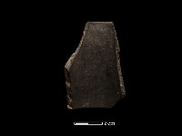 藏品(陶環)的圖片