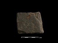 藏品(巴圖形器)的圖片