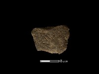 藏品(磨製石器)的圖片