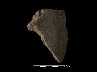 藏品(巴圖形器)的圖片