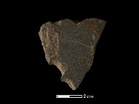 藏品(磨製石器)的圖片