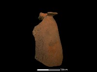 藏品(陶罐)的圖片