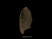 藏品(陶罐)的圖片