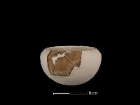 藏品(陶缽)的圖片