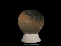 藏品(豆形器)的圖片