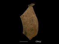 藏品(陶罐)的圖片