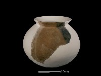 藏品(陶罐)的圖片