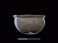 藏品(陶盆)的圖片