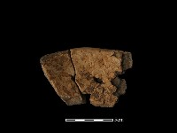 藏品(陶缽)的圖片