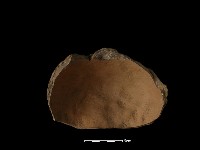 藏品(陶缽)的圖片