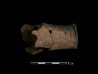 藏品(陶偶)的圖片