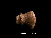 藏品(鹿骨)的圖片