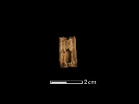 藏品(魚骨珠)的圖片