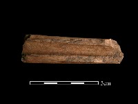 藏品(肢骨殘件)的圖片